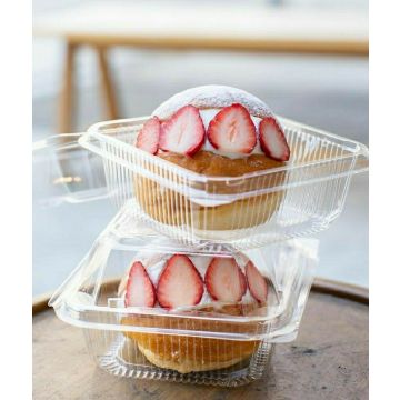 Transparent Bento Cake Box 10 Pcs